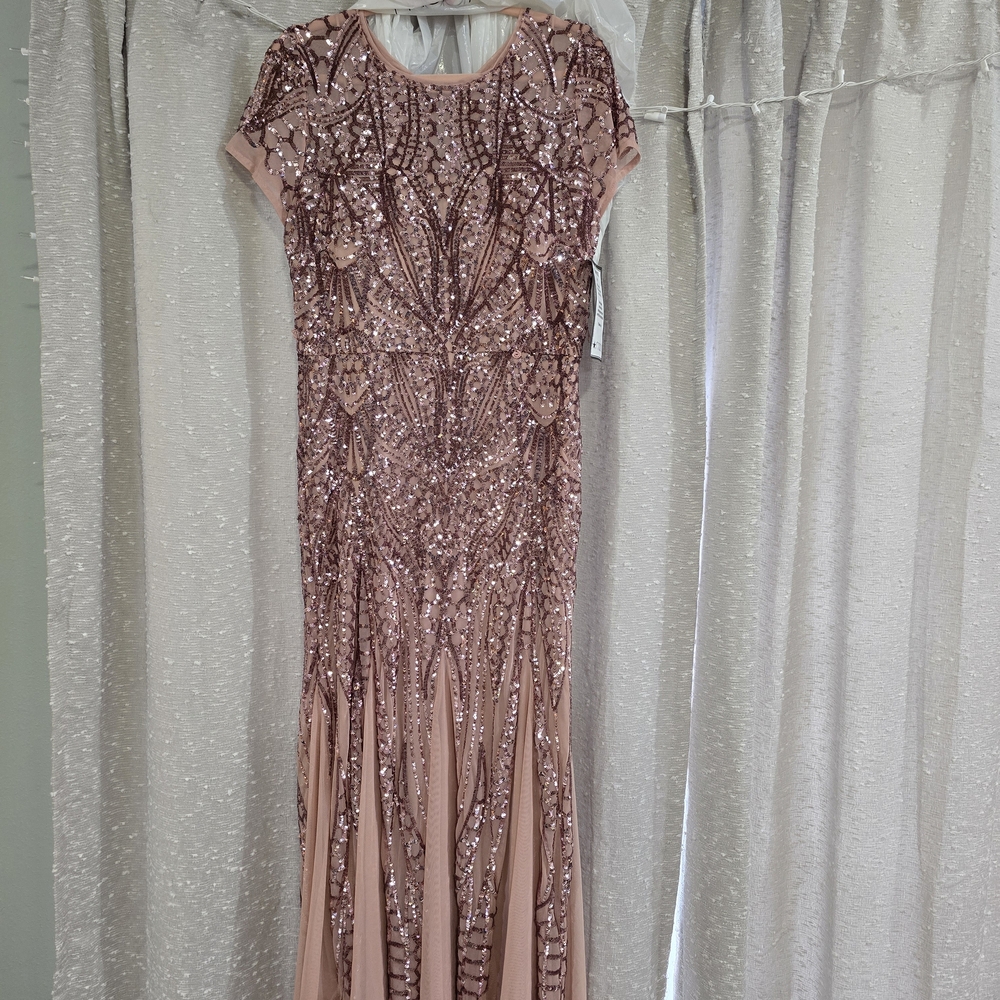 Macy's Blush Sequin Maxi Dress